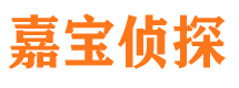 卢氏嘉宝私家侦探公司